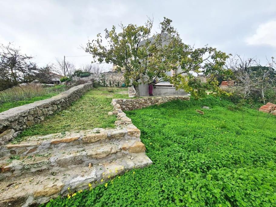 Potamos  Hidden Gem Of 1900, 7Km From Sea 빌라 외부 사진